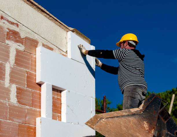Best Insulation Installation Services in Lake Summerset, IL