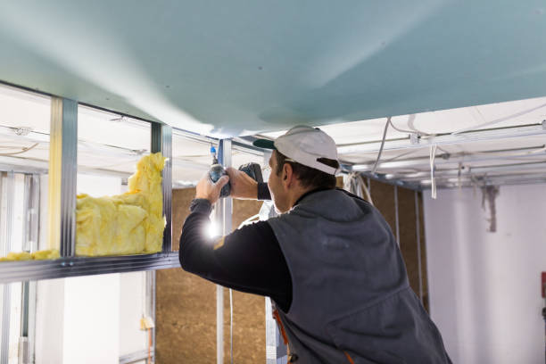 Best Commercial Insulation in Lake Summerset, IL