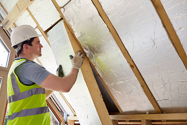 Best Energy Efficiency Solutions in Lake Summerset, IL