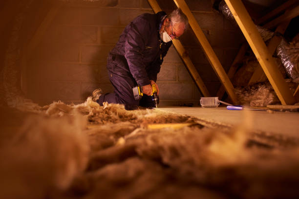 Best Insulation Installation Services in Lake Summerset, IL