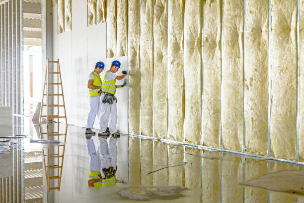 Best Insulation Installation Services in Lake Summerset, IL